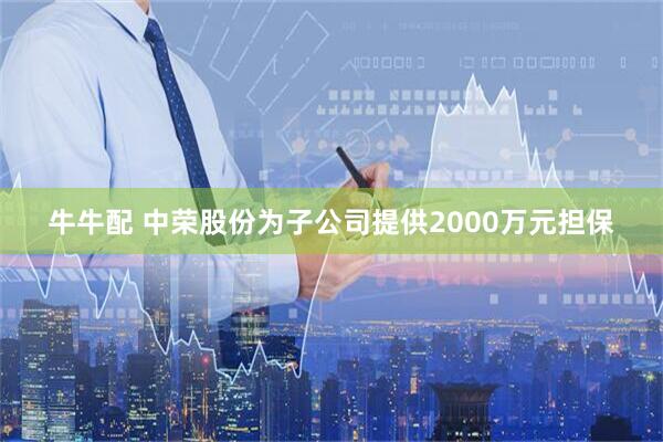 牛牛配 中荣股份为子公司提供2000万元担保