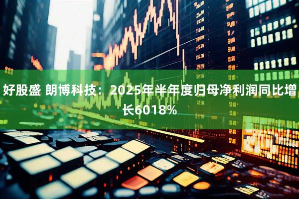 好股盛 朗博科技:2025年半年度归母净利润同比增长6018%