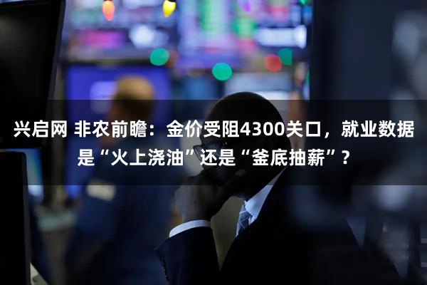 兴启网 非农前瞻：金价受阻4300关口，就业数据是“火上浇油”还是“釜底抽薪”？